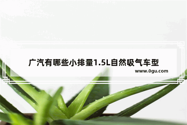 广汽有哪些小排量1.5L自然吸气车型