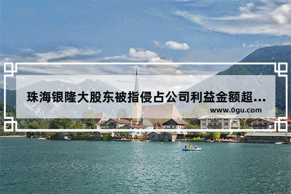 珠海银隆大股东被指侵占公司利益金额超10亿 董小姐、王健林、刘强东都被坑了吗