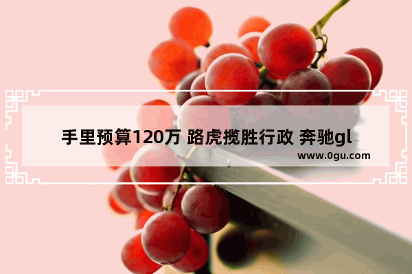 手里预算120万 路虎揽胜行政 奔驰gls450 保时捷卡宴 宝马X7 怎么选