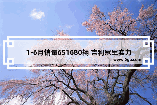 1-6月销量651680辆 吉利冠军实力为何有增无减