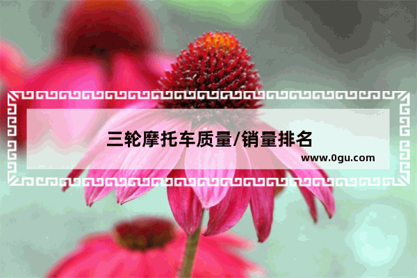 三轮摩托车质量/销量排名