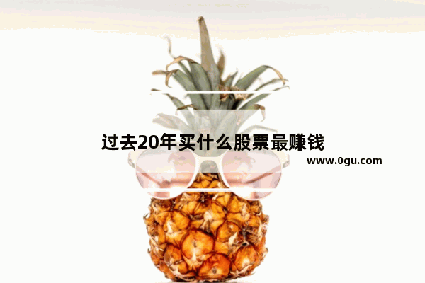 过去20年买什么股票最赚钱