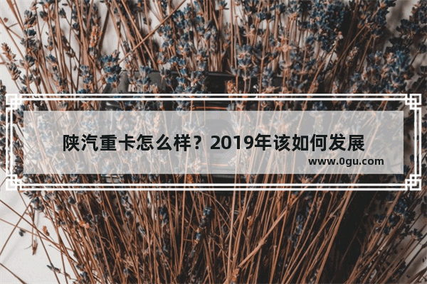 陕汽重卡怎么样？2019年该如何发展