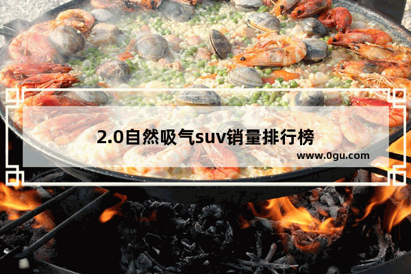 2.0自然吸气suv销量排行榜