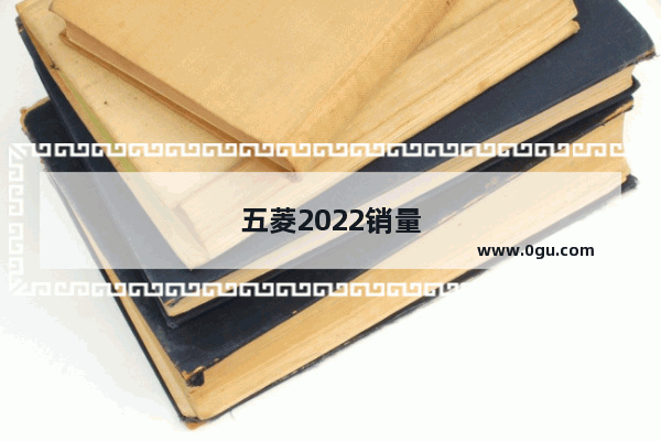 五菱2022销量