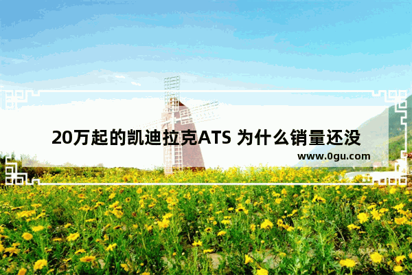 20万起的凯迪拉克ATS 为什么销量还没迈腾多