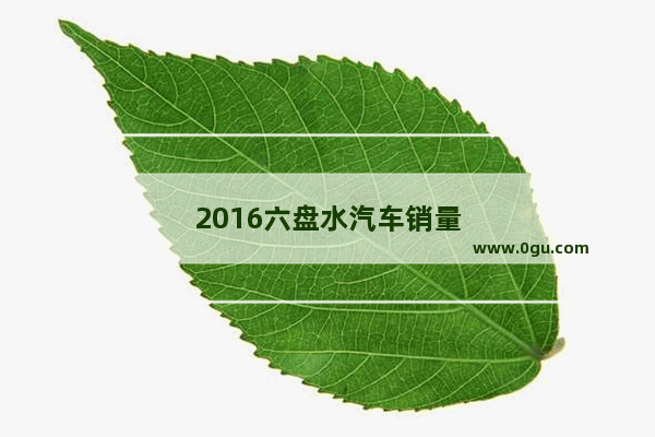 2016六盘水汽车销量