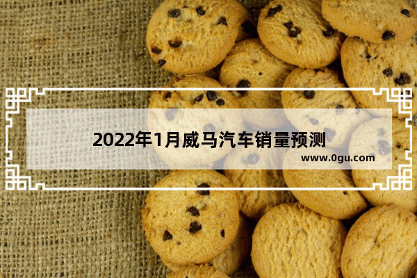 2022年1月威马汽车销量预测