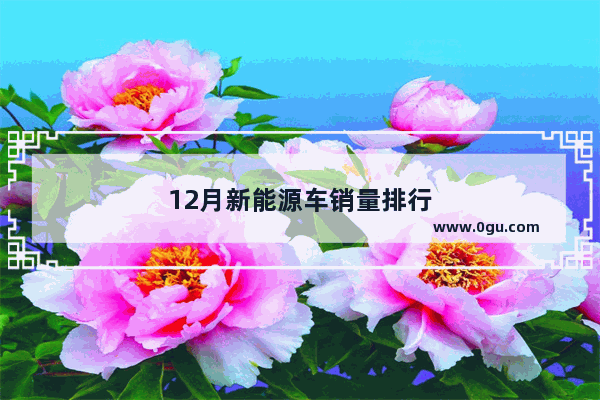 12月新能源车销量排行