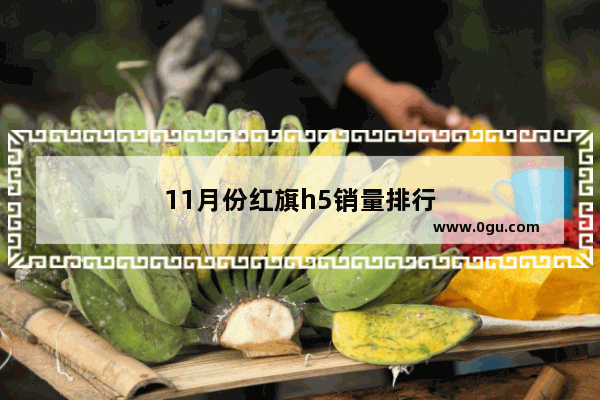 11月份红旗h5销量排行