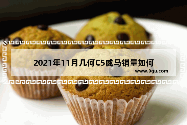 2021年11月几何C5威马销量如何