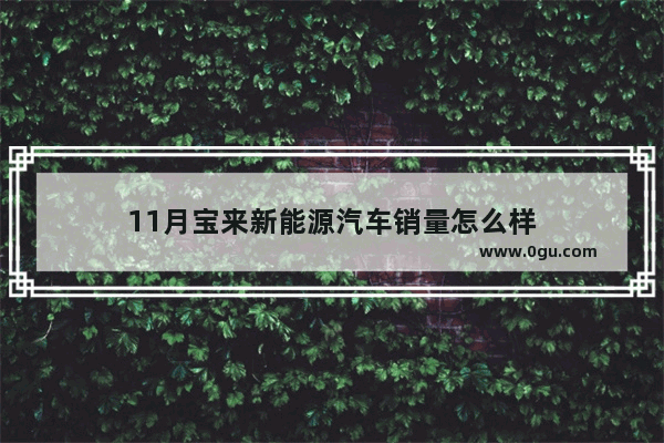 11月宝来新能源汽车销量怎么样