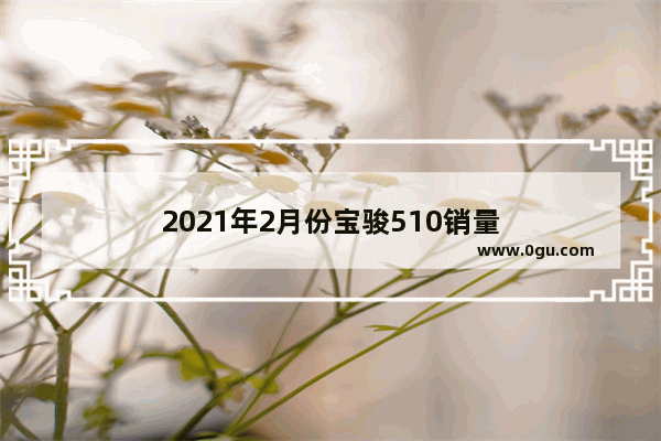 2021年2月份宝骏510销量