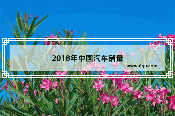 2018年中国汽车销量