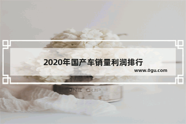 2020年国产车销量利润排行