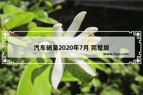 汽车销量2020年7月 完整版