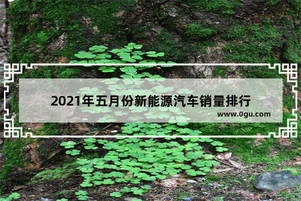 2021年五月份新能源汽车销量排行