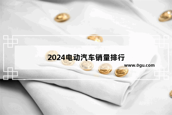 2024电动汽车销量排行