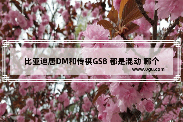 比亚迪唐DM和传祺GS8 都是混动 哪个更好