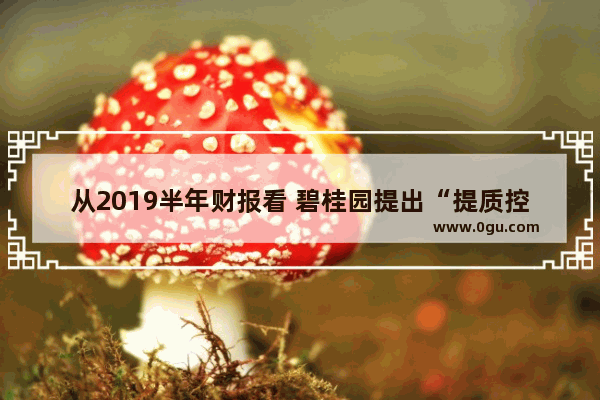 从2019半年财报看 碧桂园提出“提质控速 行稳致远”战略后 取得了哪些成果