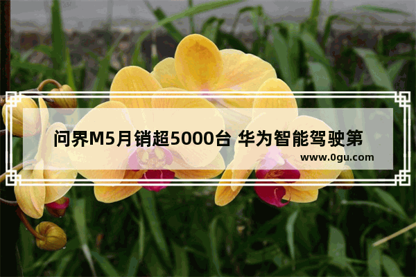 问界M5月销超5000台 华为智能驾驶第一车阿尔法S HI版会起飞吗