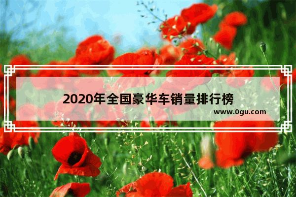 2020年全国豪华车销量排行榜