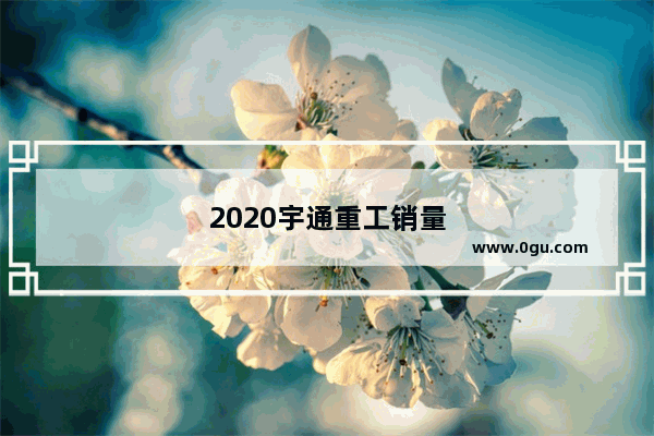 2020宇通重工销量