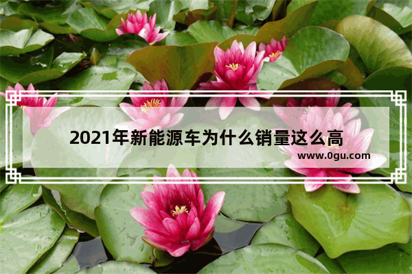 2021年新能源车为什么销量这么高