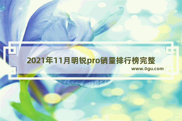 2021年11月明锐pro销量排行榜完整