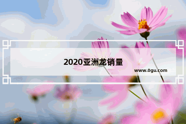 2020亚洲龙销量