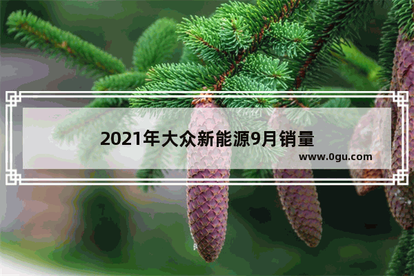 2021年大众新能源9月销量