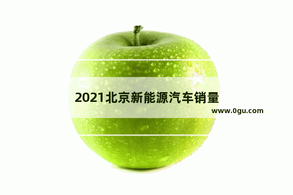 2021北京新能源汽车销量