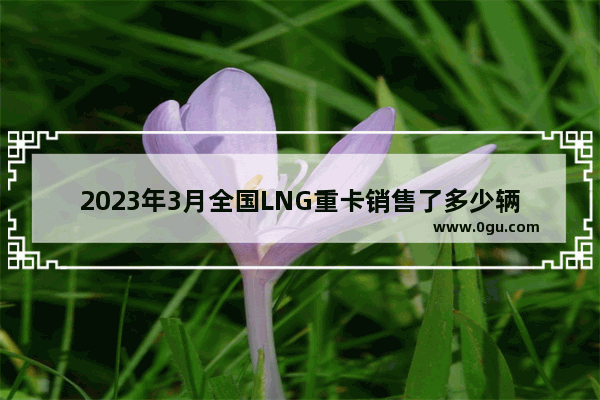 2023年3月全国LNG重卡销售了多少辆