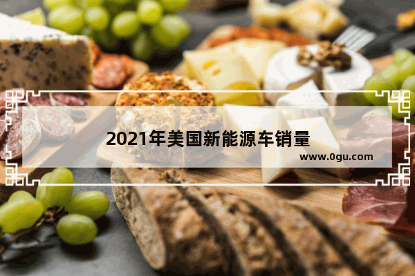 2021年美国新能源车销量