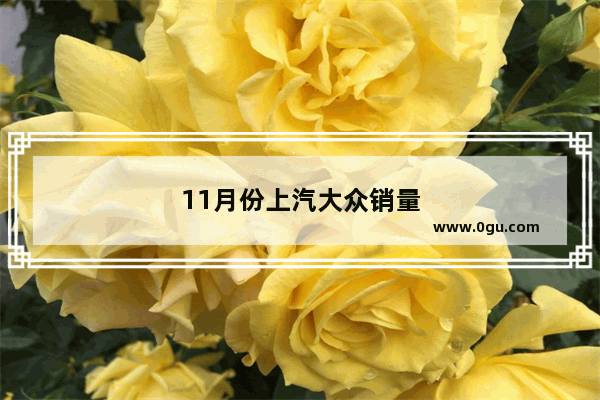 11月份上汽大众销量