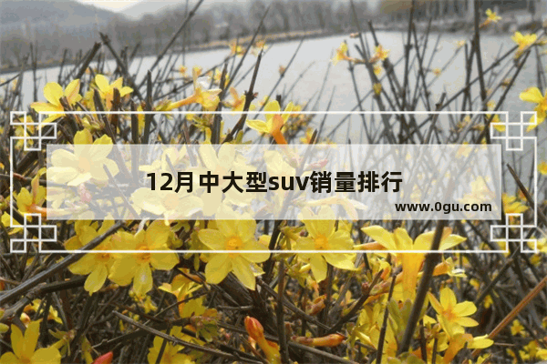 12月中大型suv销量排行