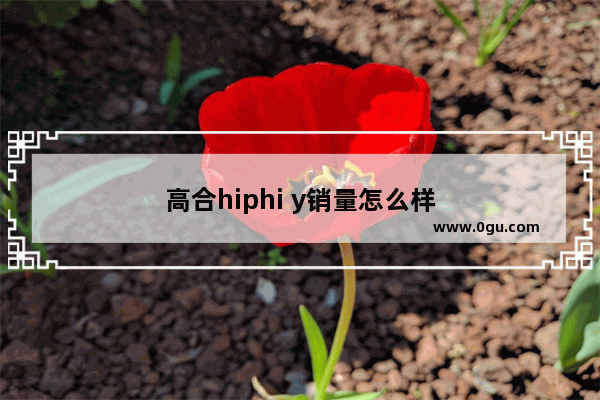 高合hiphi y销量怎么样