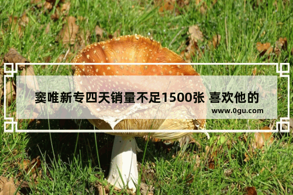 窦唯新专四天销量不足1500张 喜欢他的人为什么不买