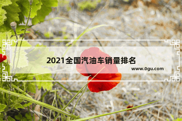 2021全国汽油车销量排名