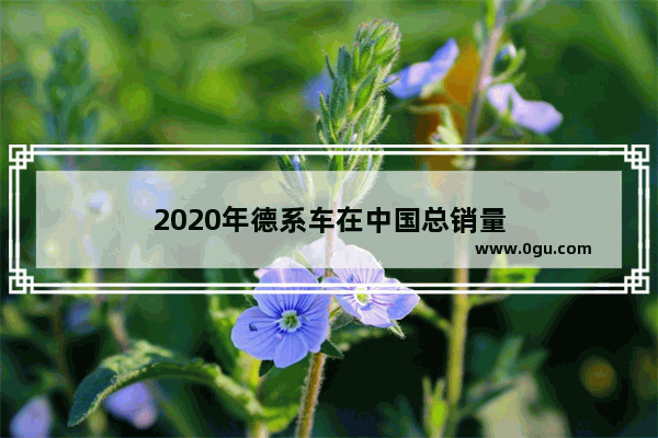 2020年德系车在中国总销量