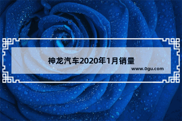 神龙汽车2020年1月销量