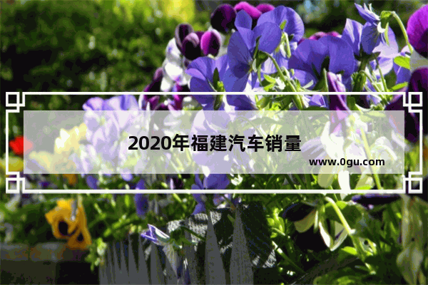 2020年福建汽车销量