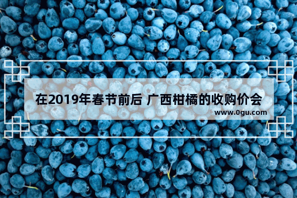 在2019年春节前后 广西柑橘的收购价会不会大涨呢