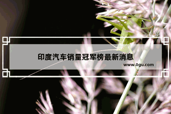 印度汽车销量冠军榜最新消息