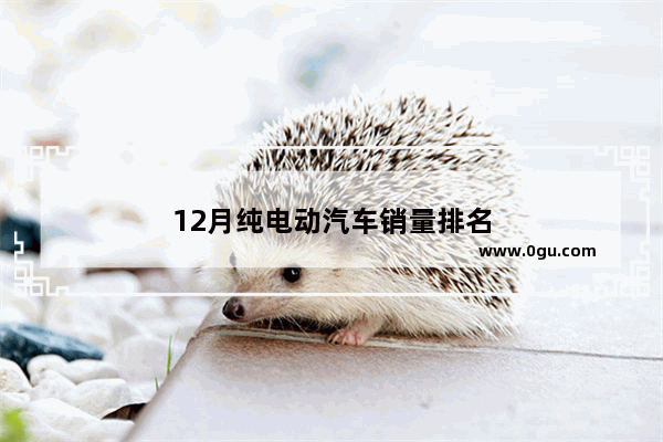 12月纯电动汽车销量排名