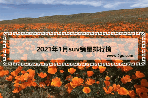 2021年1月suv销量排行榜