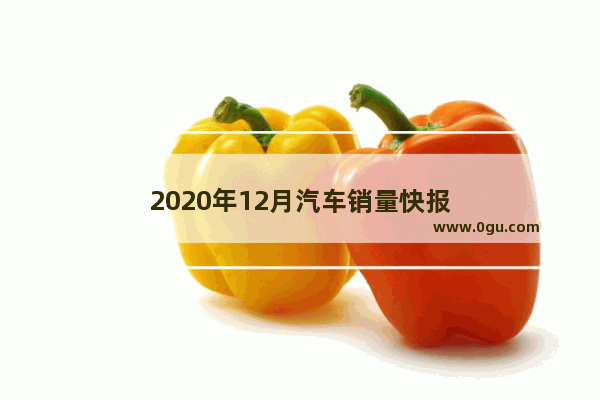 2020年12月汽车销量快报