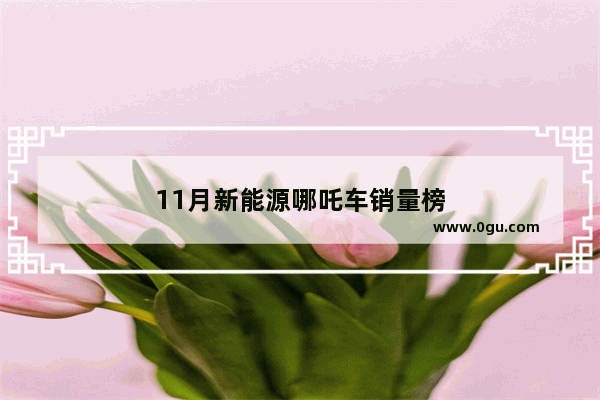 11月新能源哪吒车销量榜