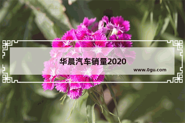 华晨汽车销量2020