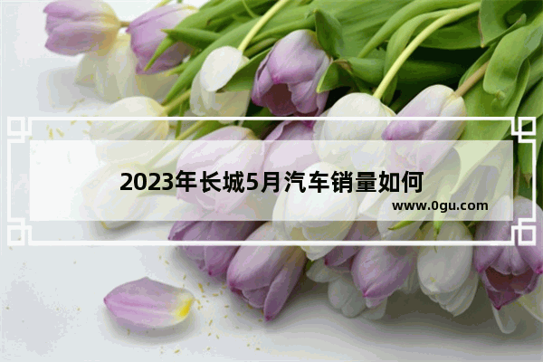 2023年长城5月汽车销量如何